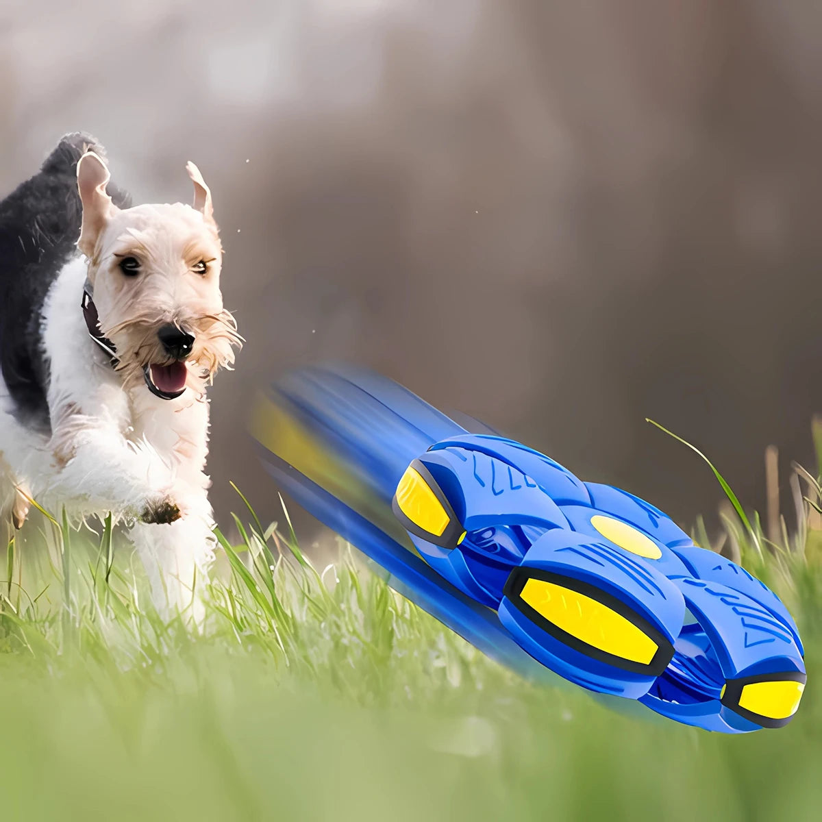 Pelota Ovni Mágica