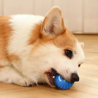 Pelota Inteligente Automática y Recargable