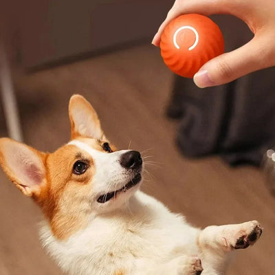 Pelota Inteligente Automática y Recargable